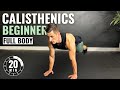 20 min beginner calisthenics workout at home  no equipment