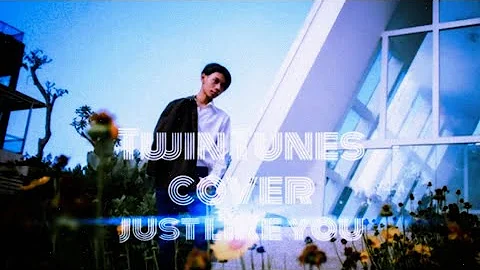 TwinTunes - Just Like You (original song by.Louis Tomlinson)