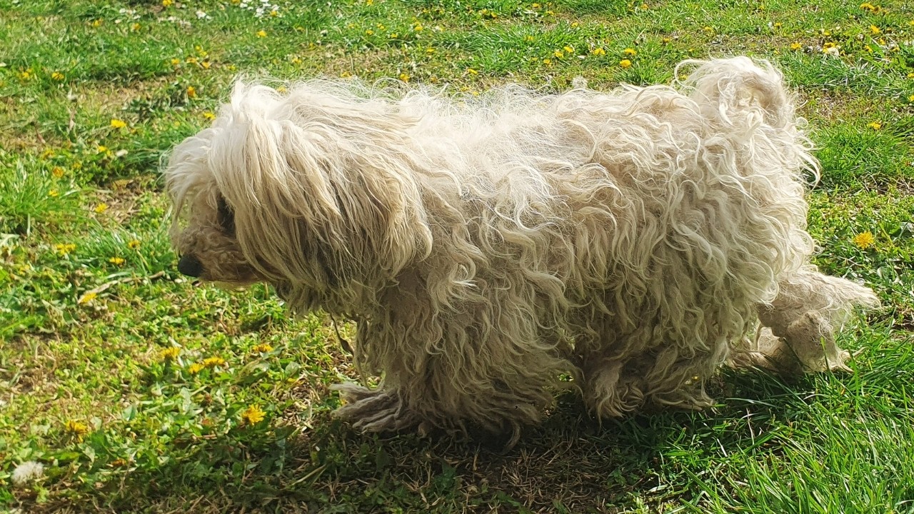 Ее оставили без внимания более трех лет
