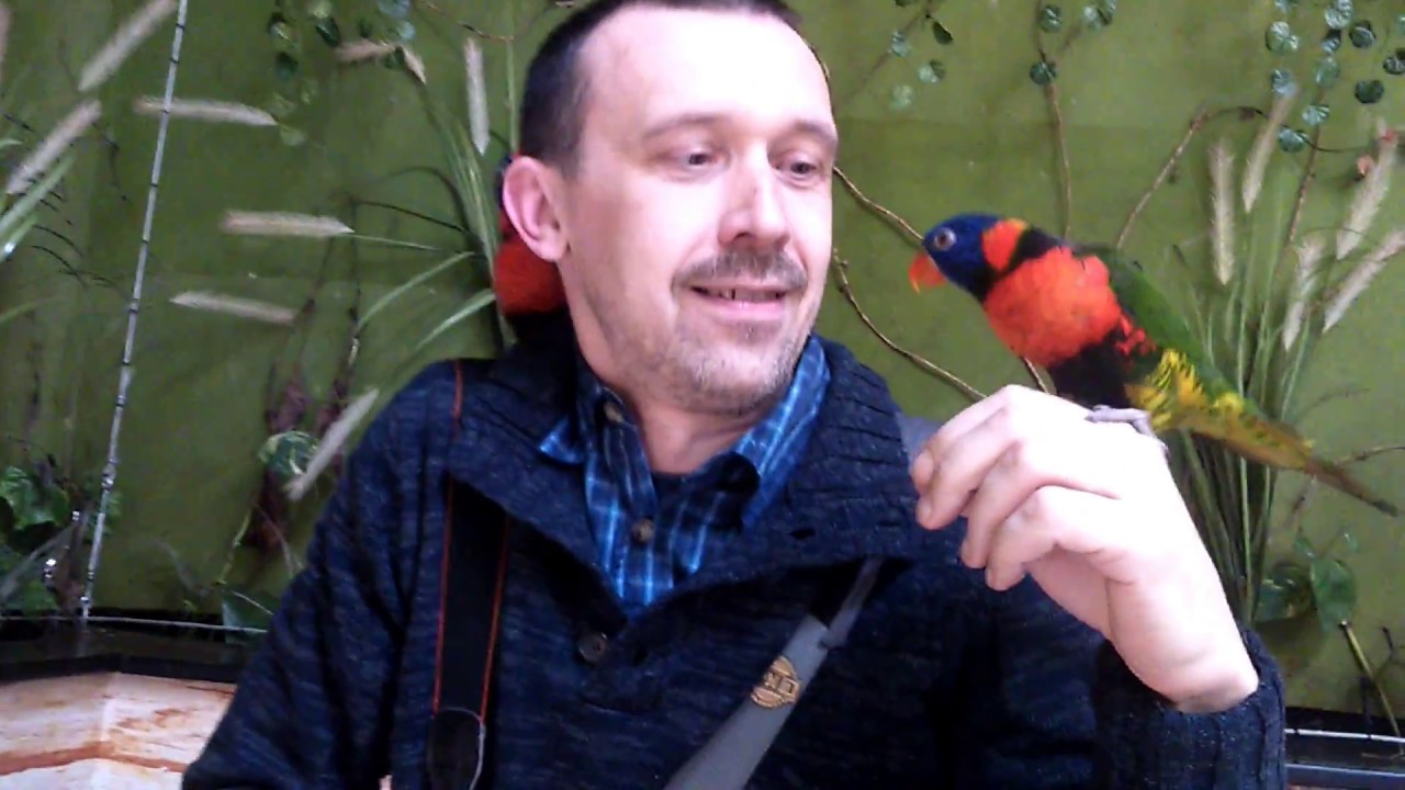 ZOO Kaszuby Tuchlino