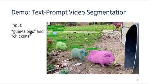 [ICCV 2023] Tracking Anything with Decoupled Video Segmentation