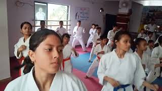 How to Karate First Step #shotokan #karate #combat #kumite #class #katakata #competition