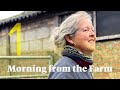 Podcast + Fat Lambs – Good Morning from the Farm