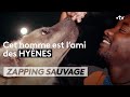 Cet homme est l'ami des hyènes - ZAPPING SAUVAGE