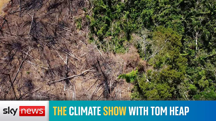 The Climate Show with Tom Heap - DayDayNews