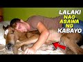 10 KAKAIBANG KASAL SA BUONG MUNDO | KASAL NG HAYOP AT NG TAO | Kienn Thoughts