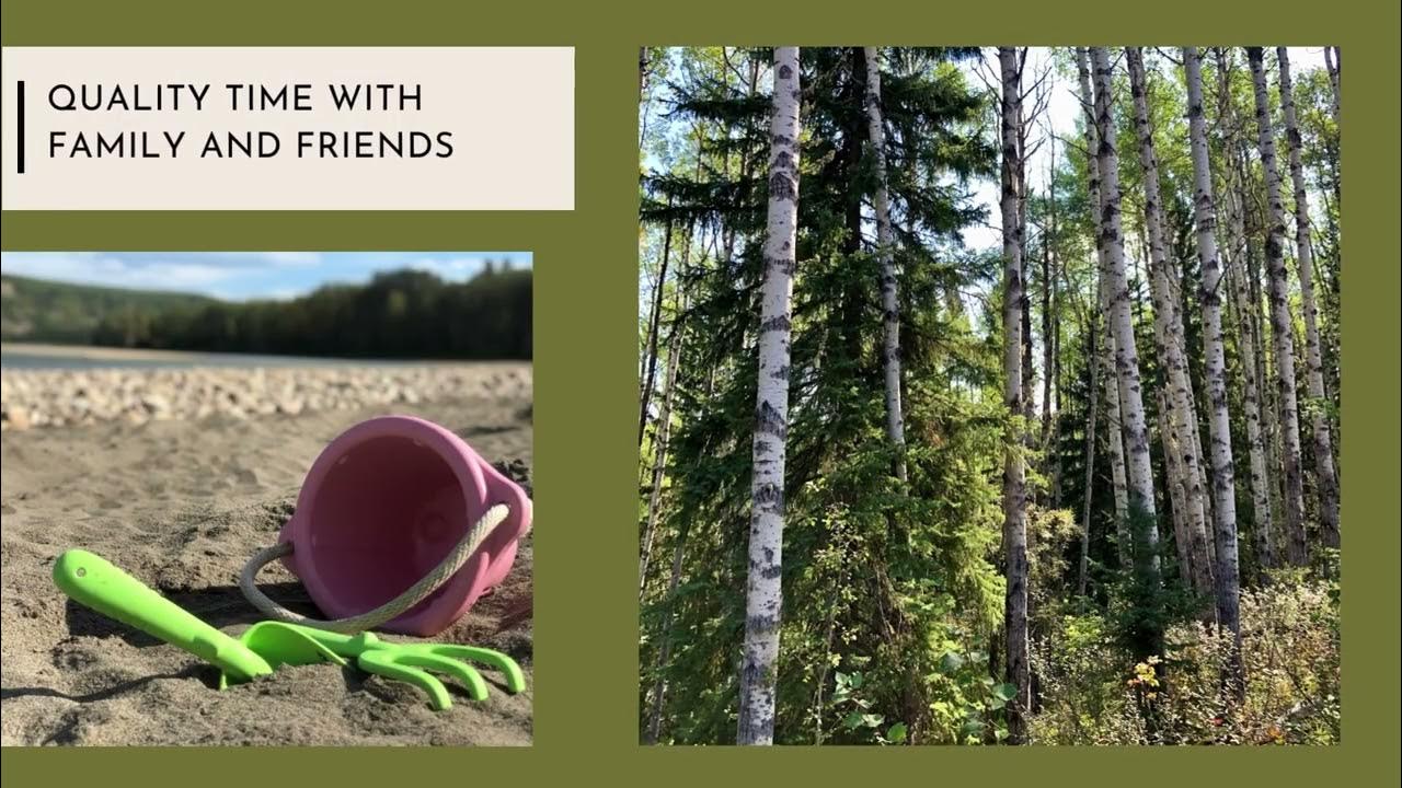 Wapiti River Recreational Lots YouTube