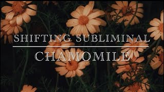 Shifting Subliminal - Chamomile 