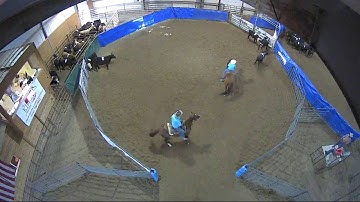 Big Sky Ranch Sorting Saddle Series #4 - #7 SORT - Round #2 - Ride #1