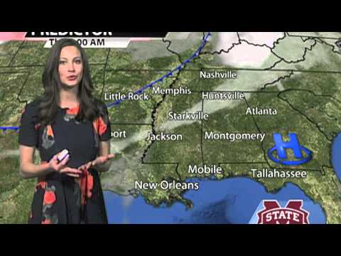 The Inside Scoop Allison Rogers Height Uncovered By Insiders
