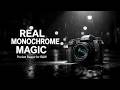 Ricoh GR IV Monochrome LEAKED: Ultimate Pocket B&amp;W Beast Goes Viral!