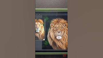 Full time lapse of Realistic Lion Drawing in Procreate #procreate