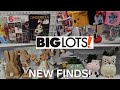 BIG LOTS BROWSE WITH ME 2024