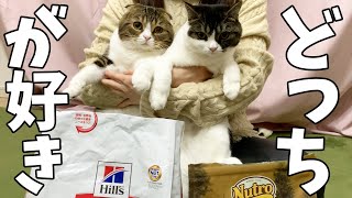 どっちが好き？大好きなご飯を親子猫で食べ比べ♪