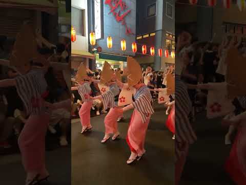 Bon Odori Festival