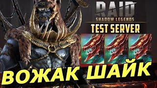 RAID: ВОЖАК ШАЙК И ЕГО СТАЯ 🐺🐺🐺 / АРЕНА /  ГИДРА (ГАЙД/ОЗОР) | Packmaster Shy'ek