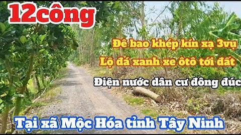 12công đất lúa 3vụ Mặt tiền Lộ đá xanh xe ôtô điện nước dân cư đông đúc Tại xã Mộc Hóa tỉnh Tây Ninh