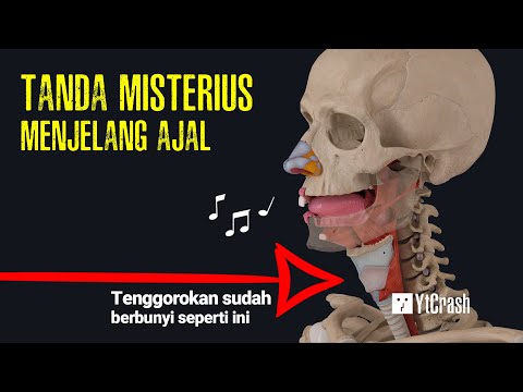 Video: Ketika bintik-bintik terjadi, seberapa dekat kematian?