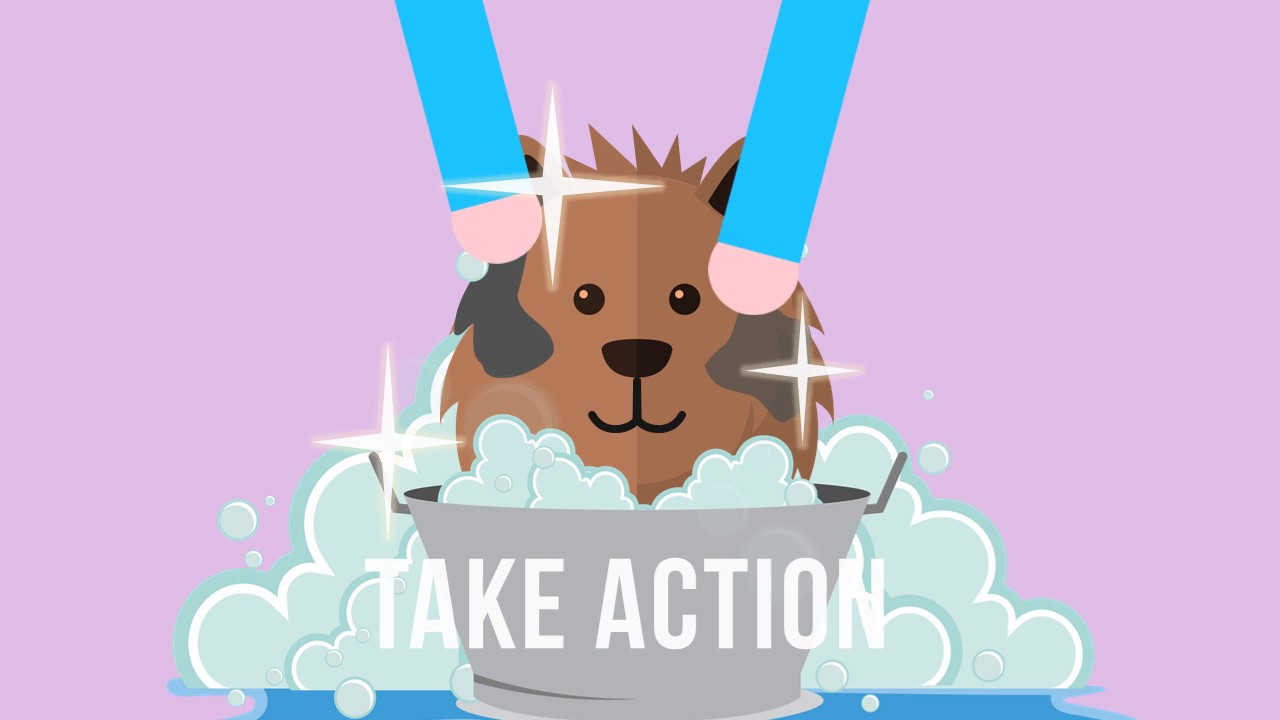 Animates dog grooming Clearance