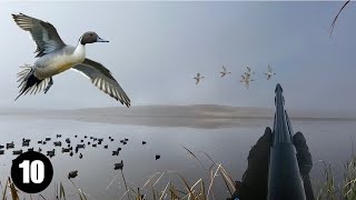 Pintails In the Fog / Fall Duck Hunt 2023