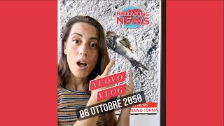 Vlog dal 2050: complotto vegano