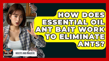 How Does Essential Oil Ant Bait Work To Eliminate Ants? - Insects and Invaders