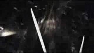 b.o.s.c.h. - mehr - Official Video