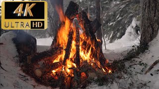 Campfire In Cold Winter Forest-Relaxing Crackling Sounds in Norway