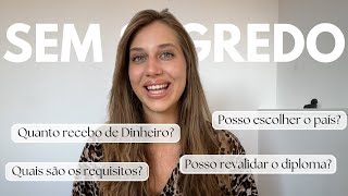Detalhes sobre a bolsa Erasmus Mundus - Processo seletivo, dinheiro, revalidação diploma