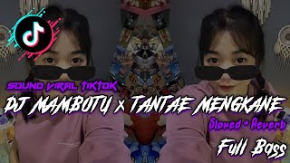 DJ MAMBOTU X TANTAE MENGKANE ( Slowed  + Full Reverb ) DJ FULL BASS 2023