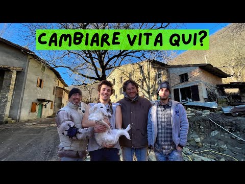 Video: Un popolo è una comunità di persone