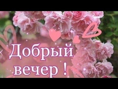 Хороший Вечер Начинается С Хорошего Настроения...Добрый Вечер