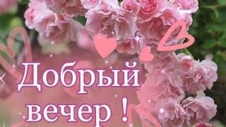 Хороший вечер начинается с хорошего настроения...Добрый вечер 💜💙