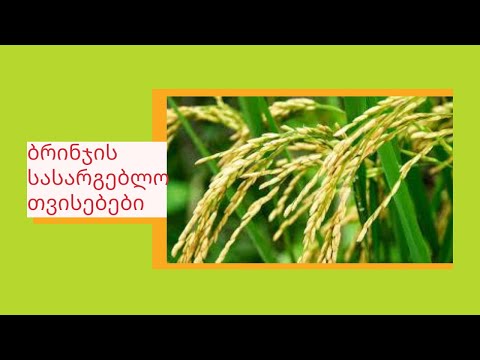 ბრინჯის სასარგებლო თვისებები|GKF|Kartuli|Georgia|Videos|GKF|rice|Health
