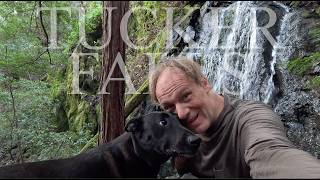 Celebrity Tucker Falls | Marin County hikes | northern California waterfalls Net Worth