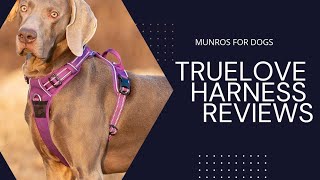 Truelove Harness Review 2024