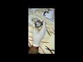 Pressure gauge pointer adjustment|Pressure gauge zero adjust