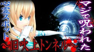 【心霊】恐怖！バーチャルなのにガチの心霊スポット行ってみた【旧吹上トンネル】
