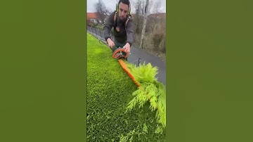 Máy Cắt Tỉa Cây Cảnh Của Mỹ #satisfying