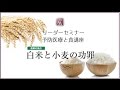 【ダイジェスト】社）日本アンチエイジングフード協会セミナー『白米と小麦の功罪』白澤卓二