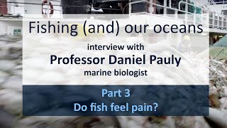 Do fish feel pain? - Interview with professor Daniel Pauly, marine biologist (part 3)