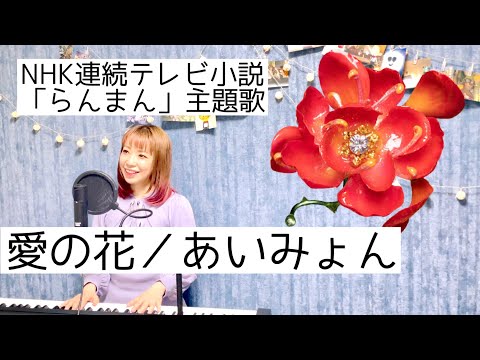 愛の花／あいみょん(フル)【NHK朝ドラ らんまん】by くろさわかな