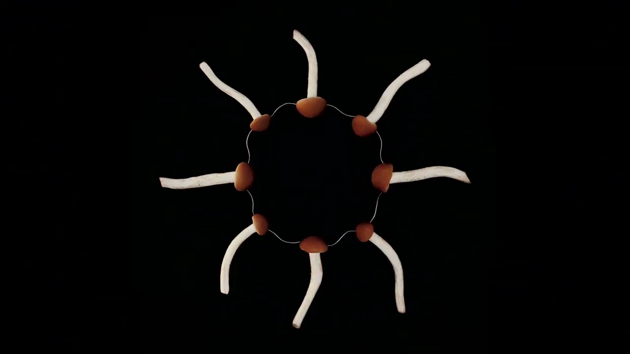 'Collective Unconscious' by Alpha Rhythm x Bop x Shenji x Syglit x V8COLA x Monover x Outer Bass