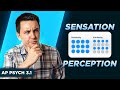 AP Psychology Unit 3: Sensation and Perception Quiz