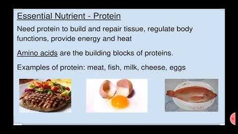 Std: 6 Sub : Science Chapter 7 Nutrition and diet ( Part I )