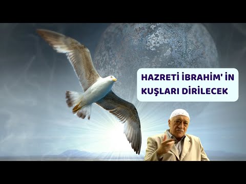 HAZRETİ BEDİÜZZAMAN' IN GÖRDÜĞÜ RÜYA GERÇEKLEŞİR... (FETHULLAH GÜLEN HOCAEFENDİ)