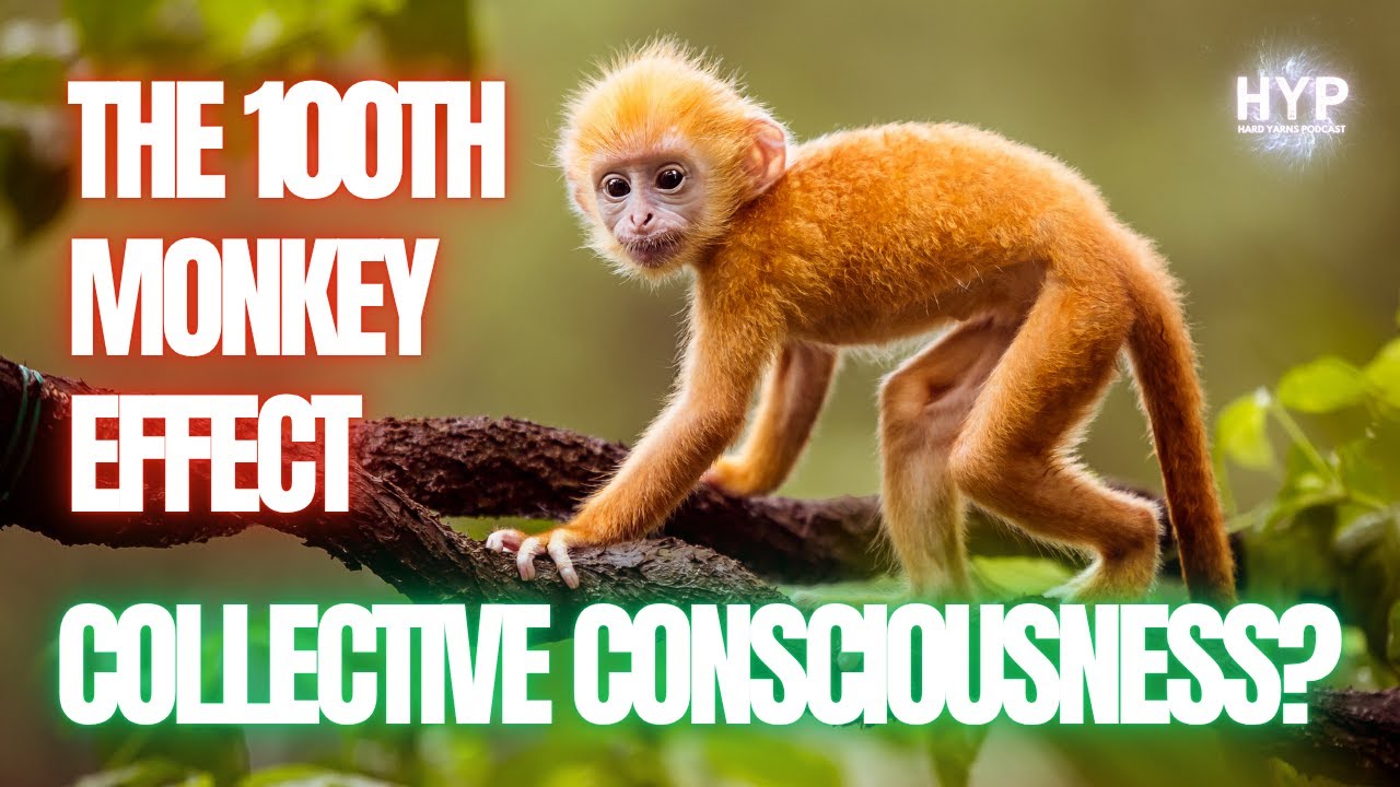 Did This Study Prove Collective Consciousness? The 100th Monkey Effect ...