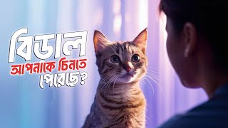 বিড়ালরা কি তাদের মালিককে চিনতে পারে এবং মনে রাখে? | Do cats recognize and remember their owners?