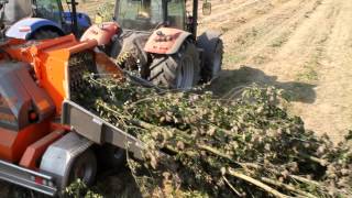 GANDINImeccanica-chipper-shredder wood-machine à bois déchiqueté-Maschinen geschreddert Holz