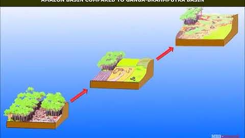 Human Environment Interactions | The Tropical and the Subtropical Region
